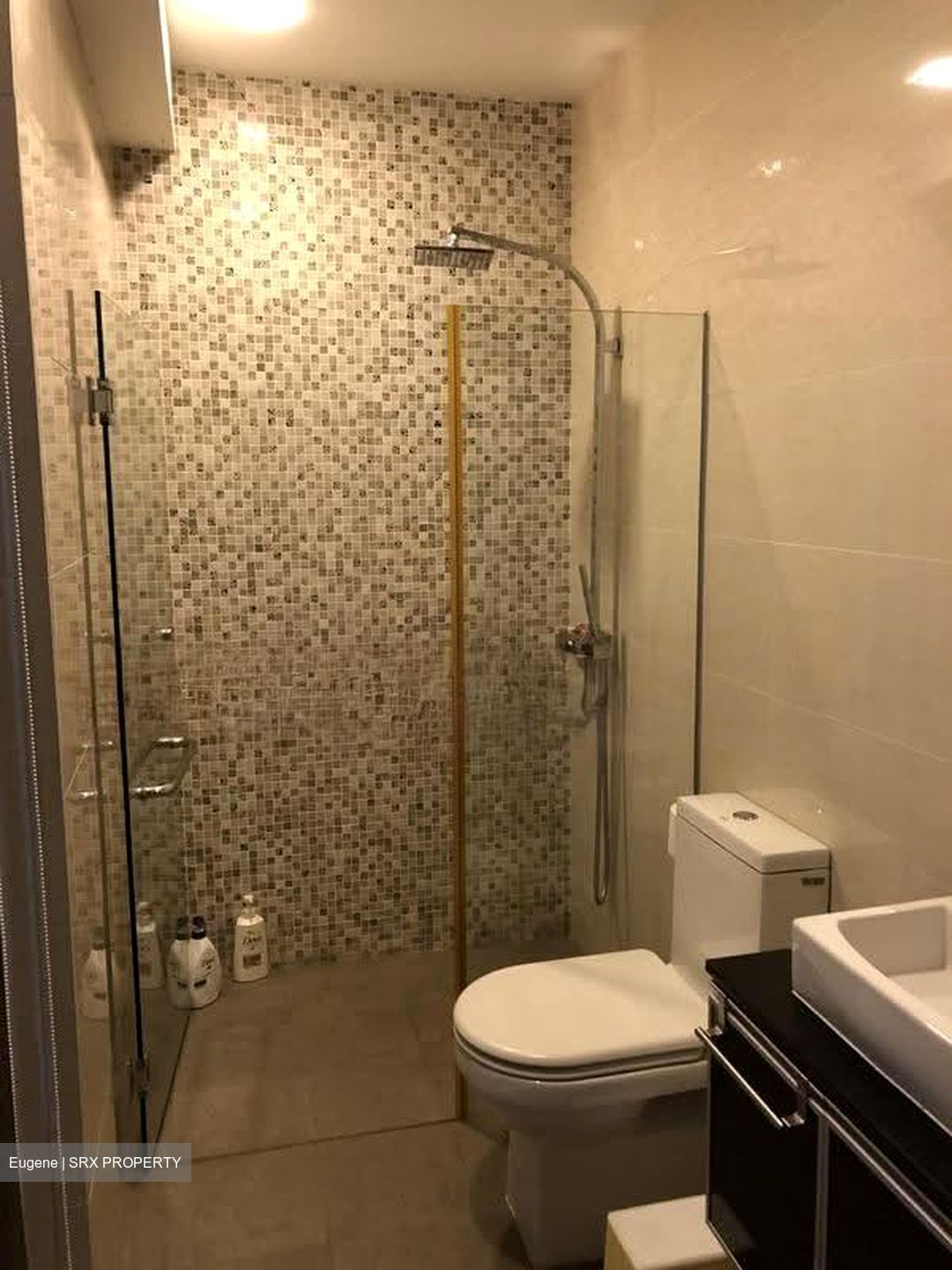 Loft @ Stevens (D10), Apartment #632042171